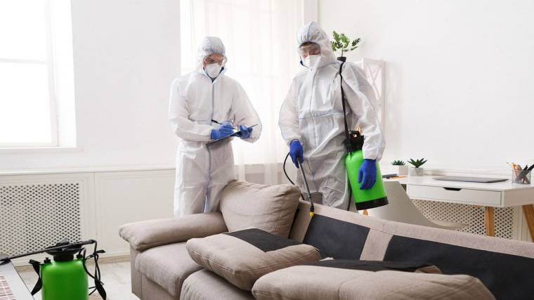 Factors to Consider When Opting for Pest Control at Home 