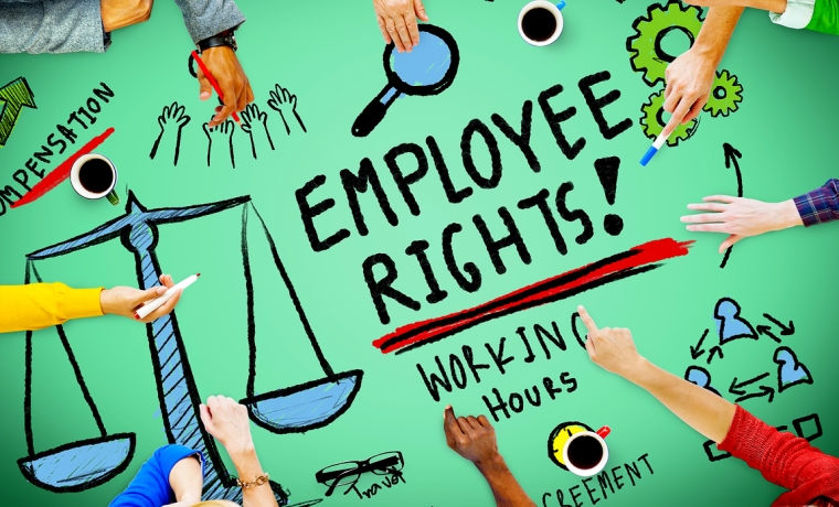 Want to know why employment laws are considered so important? Read on!